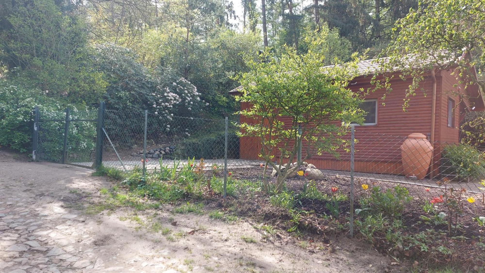 Ferienhaus In Geesthacht-Tesperhude Direkt Am Waldrand Exterior photo